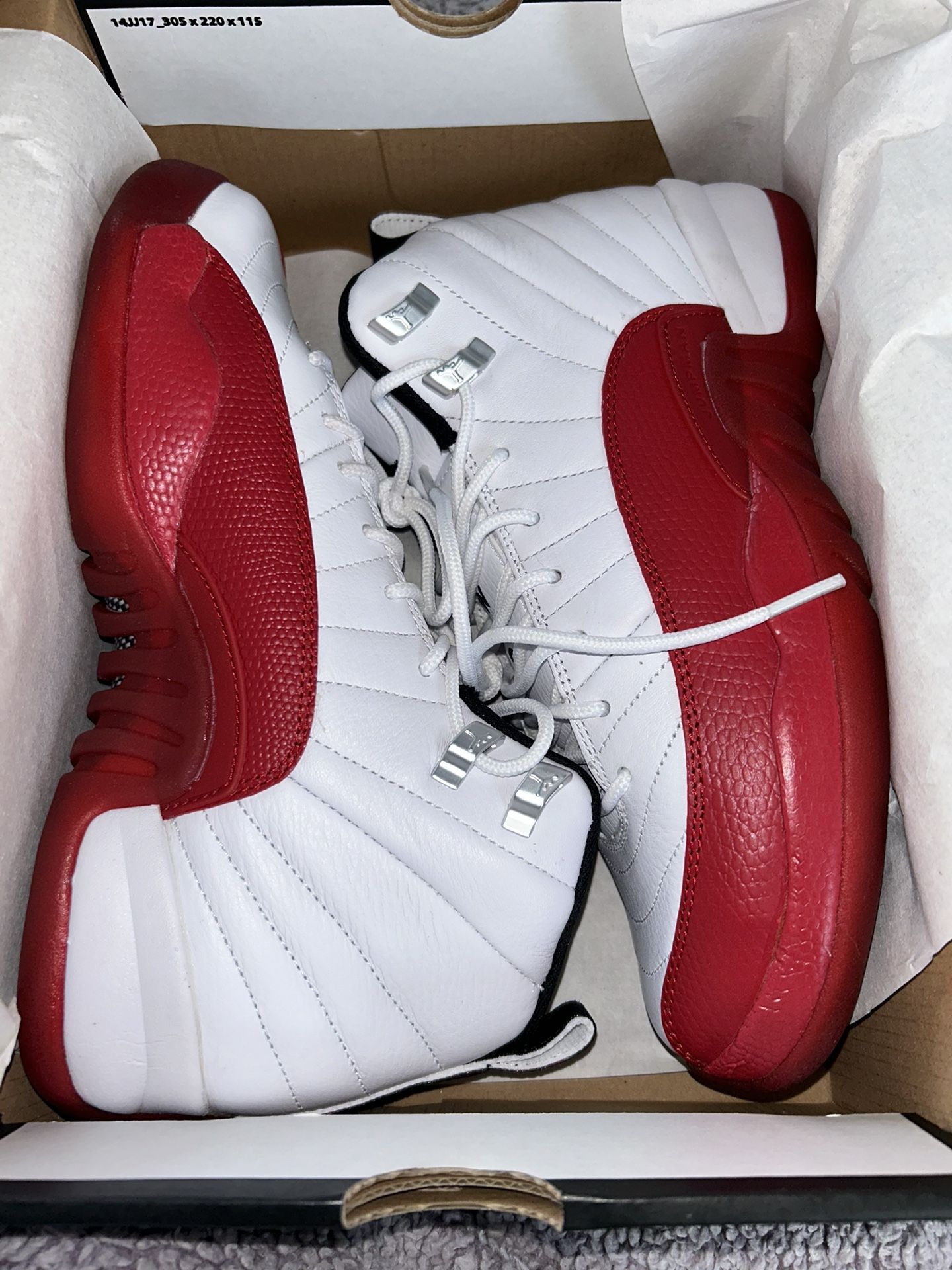 Jordan 12s NEW!