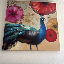 Peacock Painting 