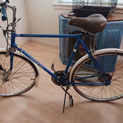 Vintage Schwinn Travler, All Original Parts