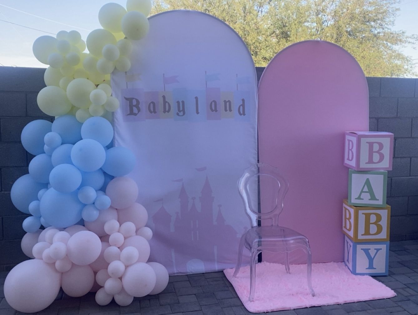 Baby Land Back Drop