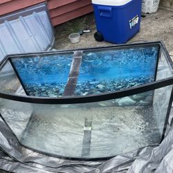 MUST GO!!! Fish Tanks, Stands 20g 36g 55g, Filters