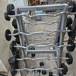 IGX Fixed Curl Bars 20lbs - 110lbs With Commercial Grade Freemotion Storage Rack