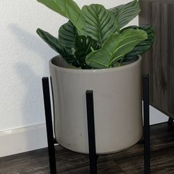 Ceramic Planter Pots With Stand