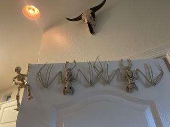 Halloween Decor - Hanging Bats & Adjustable Skeleton