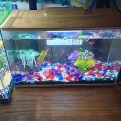 3 Gallon Beta Fish Tank