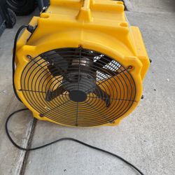Fan Large