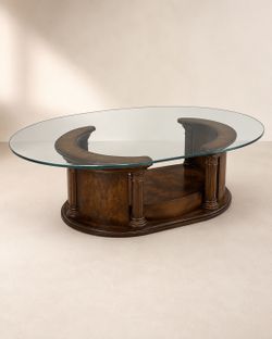 Elegant Glass & Wood Coffee Table