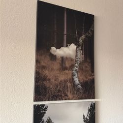 Picture Canvas Wall Art Forrest Theme