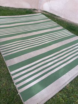 Big outdoor/indoor rug