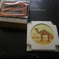 Camel Zippo & Tin 