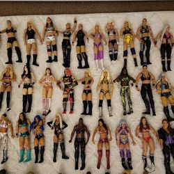 WWE Action Figures AND ACESSORIES 