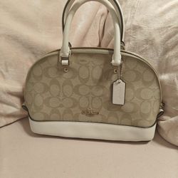 Coach Dome Purse