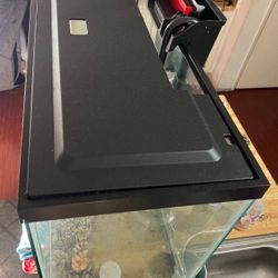 Aquarium With Filter 
