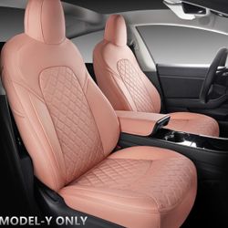 Tesla Car Seat Covers