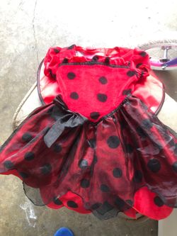 Baby Lady Bug costume