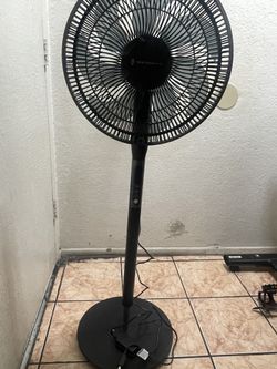 Fan ,