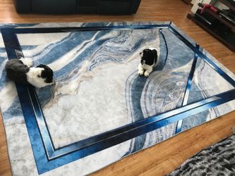 Beautiful Rug I only used a week.
