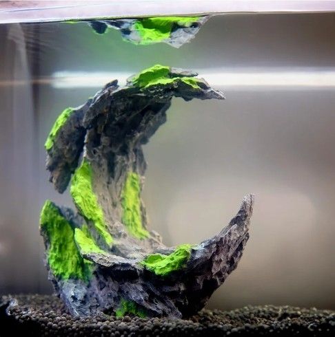 Aquascape Aquarium Decor Half Moon Design