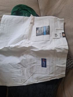 Dickies/ Sherwin Williams utility shorts