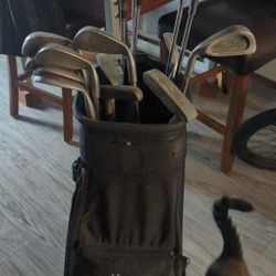 Callaway Bag And Precision Clubs 