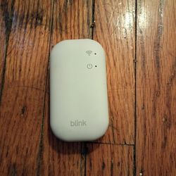 Blink Sync Module XR 