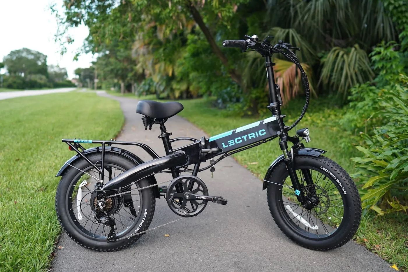E Bike (carries 2 People)