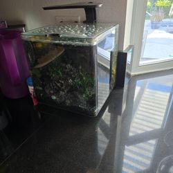 2.5 Gallon Aquarium 