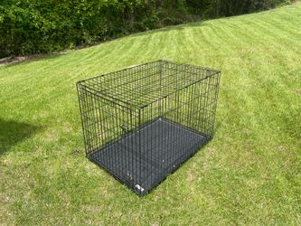 Large dog crate