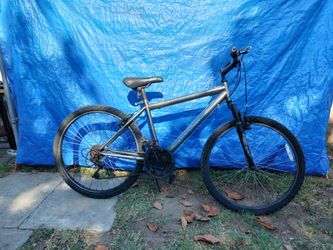 Roadmaster Bike