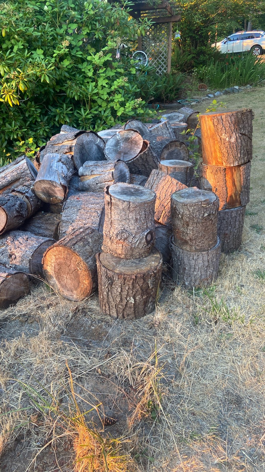 Fur  logs for free.  Come and get them. Seasoned, ready to burn