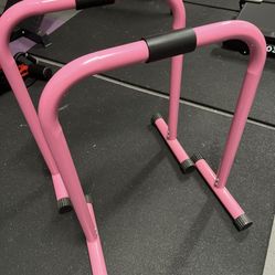 gym calisthenics bars