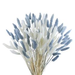 Bunny Tails 