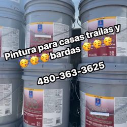 Pintura Y Material Paint 