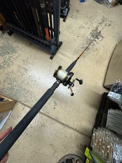Ugky stick tiger Daiwa Sealine salt water fishing combo.