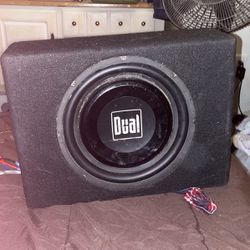 Dual Amplified Subwoofer And Box