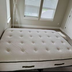 Avocado Green Queen Organic Non Toxic Mattress