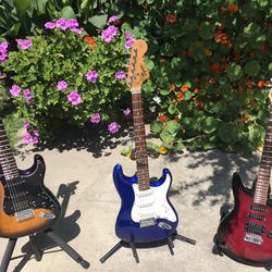 Fender/Rogue Guitars