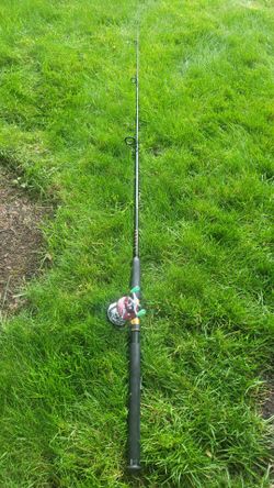 Penn Peer 109 Reel / Zebco Pro Staff 4393