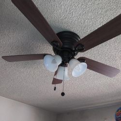 Ceiling Fan With Light
