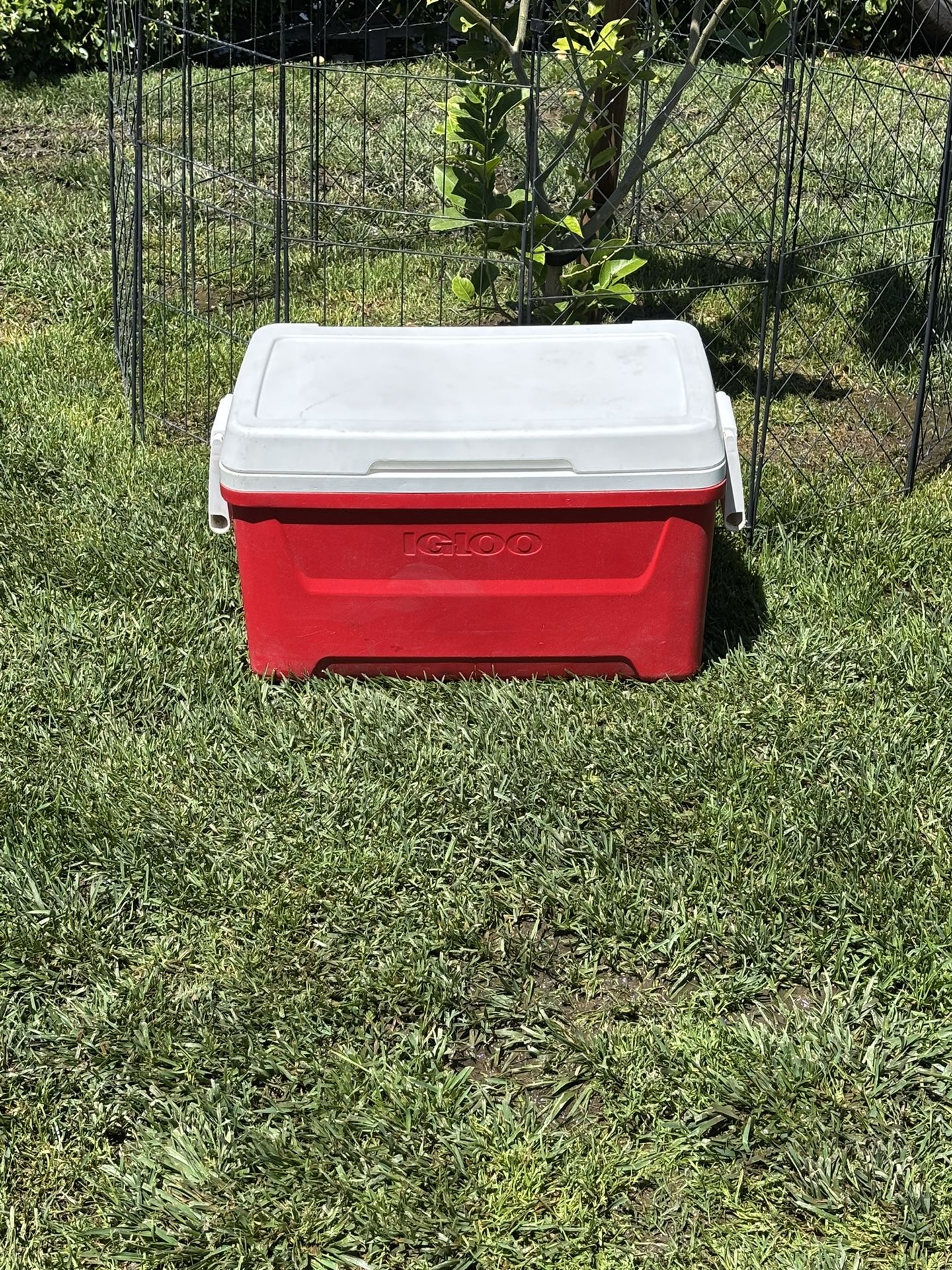 IGLOO,ICE CHEST,COOLER