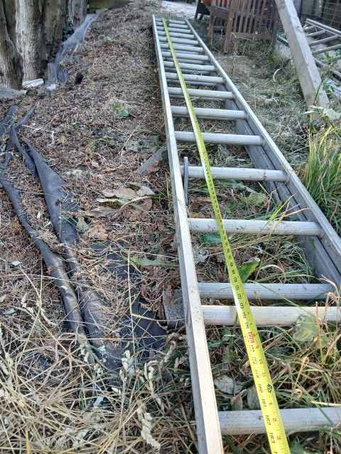 (2) 16ft Extendable Aluminum Ladders
