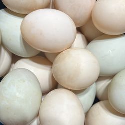 Farm Fresh DUCK Eggs