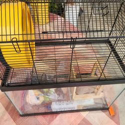 Hamster Cage 