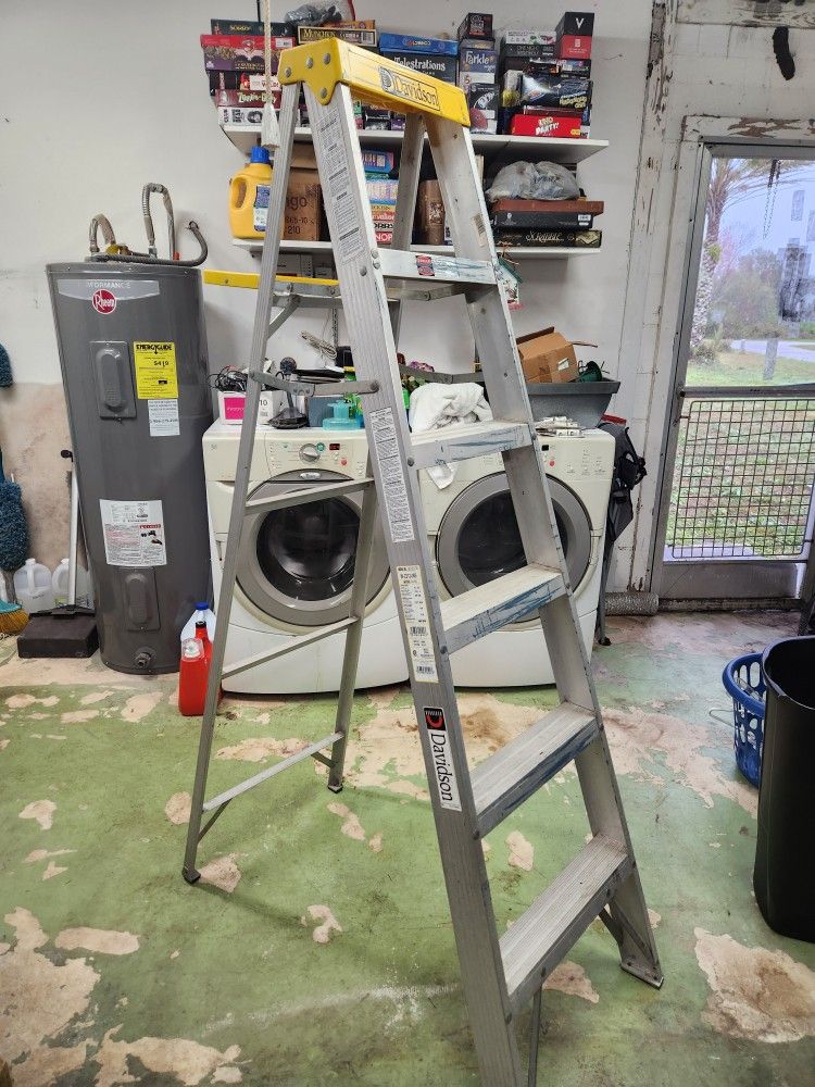 6 Ft Ladder
