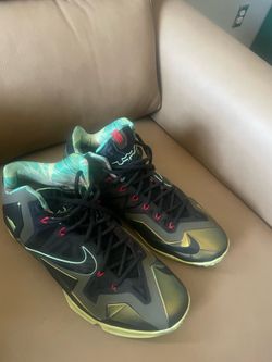 Nike LeBron 11 King's Pride size 13