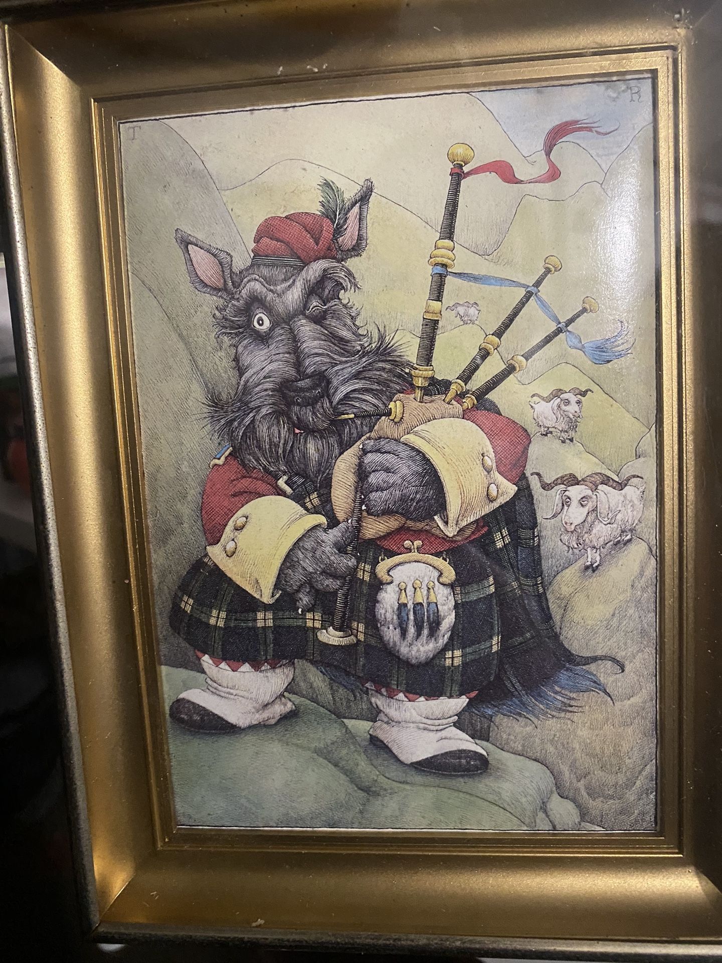 Scottish Terrier