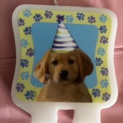 HAPPYBIRTHDAY CANDLE  FOR DOGS