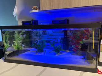 30 gal long tank