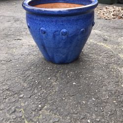 Flower Pot