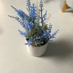 Movingsale Home Decor 